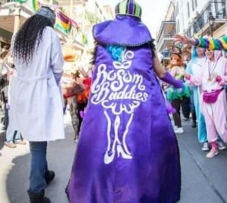 Krewe of Bosom Buddies & Breast Friends logo